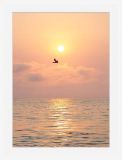 Serene